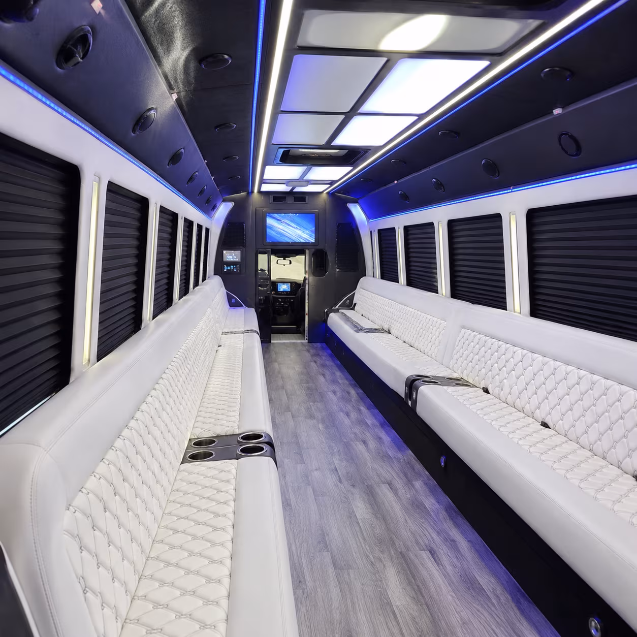 birthday party bus rental